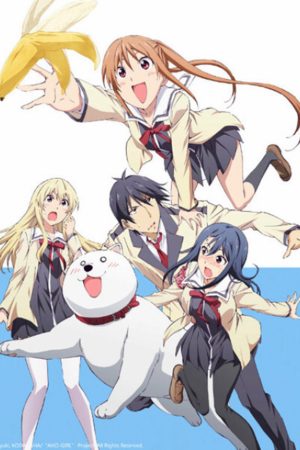 Cô Nàng Ngốc – Aho Girl